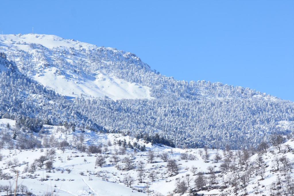 St.Paul Yol Pansiyon Kasımlar Buitenkant foto