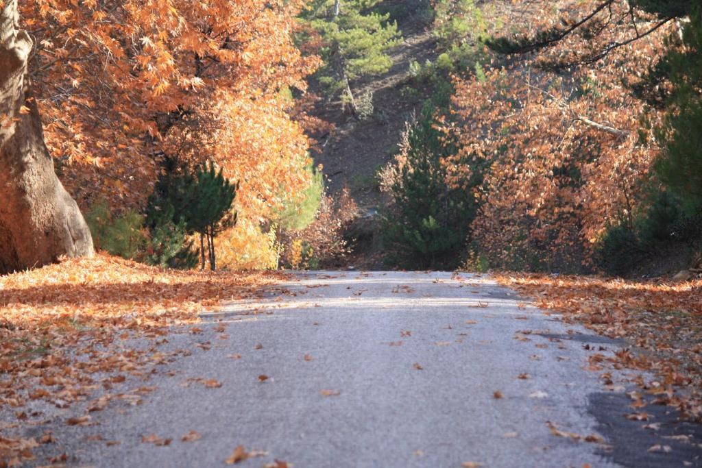 St.Paul Yol Pansiyon Kasımlar Buitenkant foto